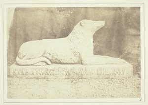 Effigie de Maida, la chienne préférée de Sir W. Scott, à côté de la porte du hall d