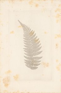 [Distance] - William Henry Fox Talbot