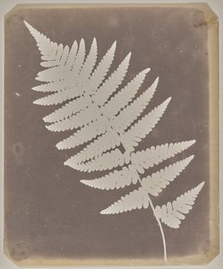  - William Henry Fox Talbot