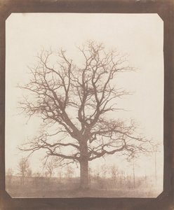  - William Henry Fox Talbot