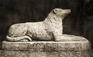 Statue de Maida, rapportée comme étant le Chien Préféré de Sir Walter Scott - William Henry Fox Talbot