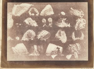 La Vitrine de la modiste - William Henry Fox Talbot