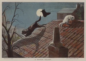 Une Mélodie Brisée