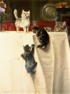 Chats