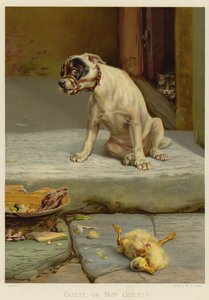 Coupable, ou non coupable (chromolithographie)