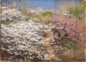 Champ de fleurs - William Henry Holmes