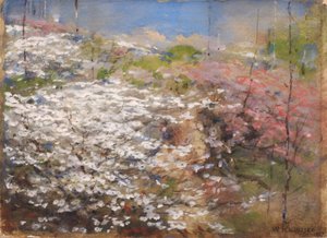 Champ de fleurs