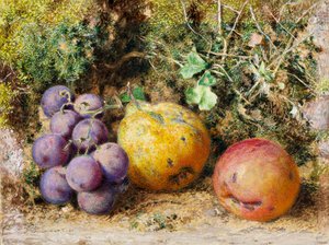Raisins noirs, coing et Newtown Pippin, 1861 - William Henry Hunt