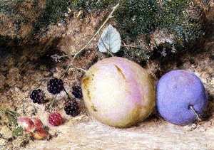 Cynorrhodons, mûres et prunes