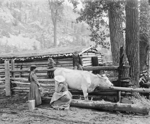 Laitières de montagne au Colorado, c.1900 (photo n/b) - William Henry Jackson