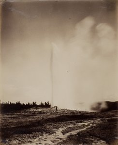 Old Faithful