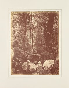 Le sentier dans les bois, Gallatin Cañon - William Henry Jackson