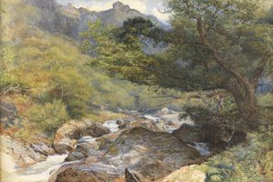Sur le Lyn, North Devon - William Henry Millais