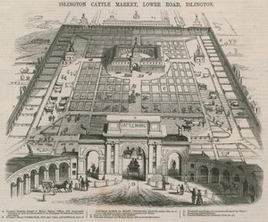 Marché aux bestiaux d
