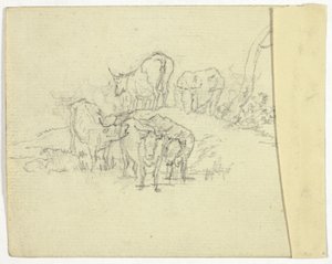 Bétail (recto); Le Charlatan (verso)