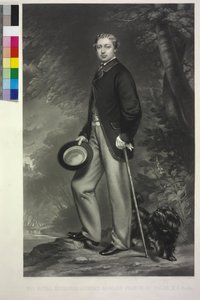 Roi d