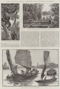 Exposition coloniale et indienne, Bornéo du Nord, Établissements des détroits et Hong Kong
