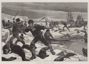 Chasse au phoque dans les régions arctiques - William Heysham Overend