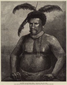 La guerre zouloue en Afrique du Sud, Cetewayo, le roi zoulou