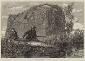 Chasse au canard sauvage, ouest de l