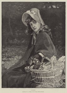 Poulets - William Hippon Gadsby