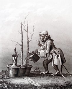 Pièce de queue au catalogue de l