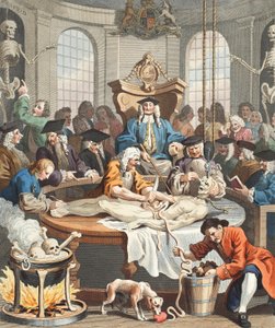 La Récompense de la Cruauté, des Quatre Étapes de la Cruauté, illustration de 