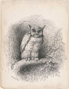 Chouette - William Holbrook Beard