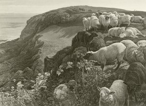 Sur la colline (gravure) - William Holman Hunt