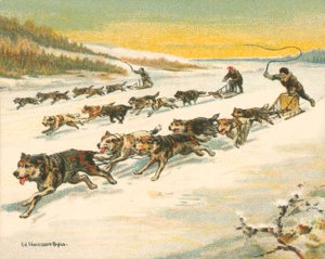 Courses historiques et modernes, courses de traîneaux à chiens canadiens - William Hounsom Byles