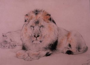Lion et lionne - William Huggins
