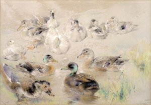 Étude de Canards - William Huggins