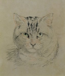Chat tigré, 1874 - William Huggins