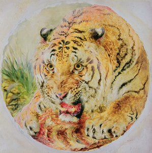 Tête de tigre