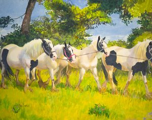 Sur le plomb - William Ireland