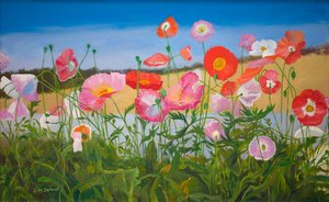 Coquelicots - William Ireland