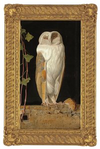La chouette blanche - William J. Webbe or Webb