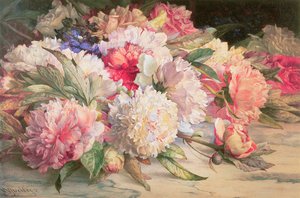 Pivoines, 1892 - William Jabez Muckley