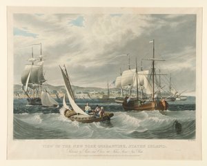 Vue de la quarantaine de New York, Staten Island - William James Bennett