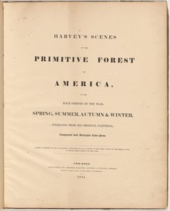 Scènes de la forêt primitive de Harvey - William James Bennett, after George Harvey