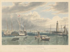 Buffle, du lac Érié - William James Bennett after John William Hill