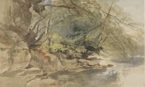 Vue dans Stapleton Wood, près de Bristol
