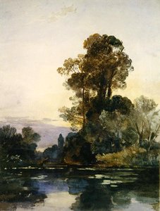 Grands arbres près d