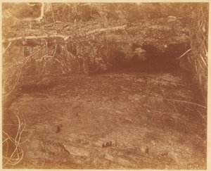 Sans titre, tiré du portfolio The Forest : Bois des Adirondacks - William James Stillman