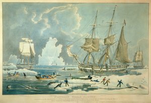 Pêche à la baleine du Nord, gravée par E. Duncan - William John (after) Huggins