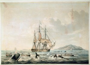 Pêche à la baleine en mer du Sud, gravée par T. Sutherland - William John (after) Huggins