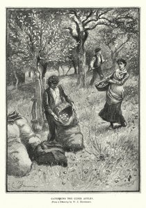 Récolte des pommes à cidre - William John Hennessy