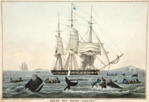Pêche à la baleine dans le Pacifique Sud, pub. 1825 - William John Huggins