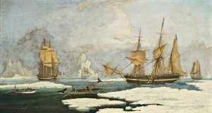 La pêche à la baleine du Nord : Le navire Harmony de Hull et d
