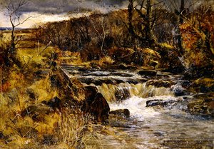Ruisseau à truites au Pays de Galles